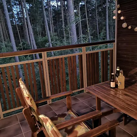 Wrzosowy Srebrny Sea&forest 公寓