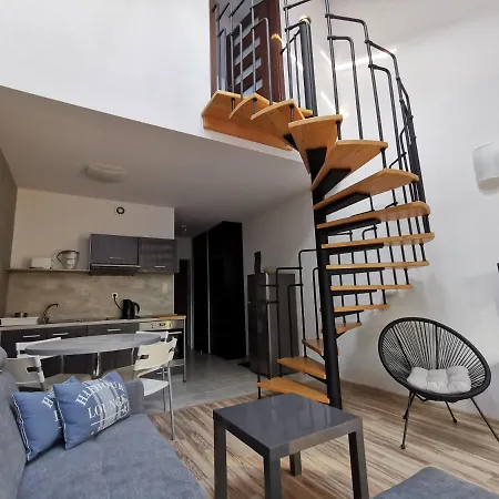 公寓 Wrzosowy Srebrny Sea&forest 博格泽利卡